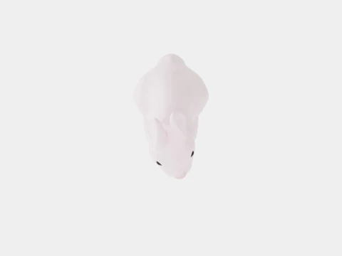 Rabbit Lamp White 3D Model