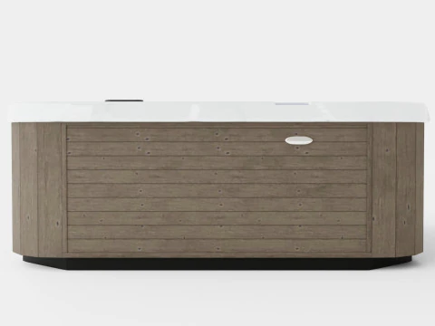 D1 Spas Chairman 3D Model