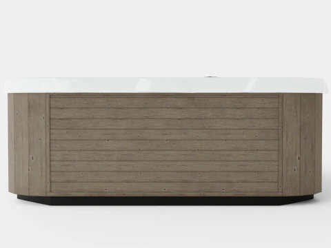 D1 Spas Chairman 3D Model
