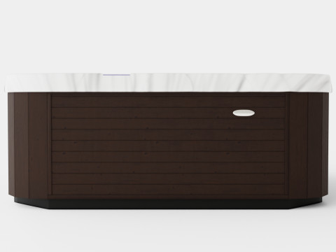 D1 Spas Diplomat 3D 모델