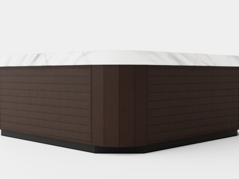 D1 Spas Diplomat 3D 모델