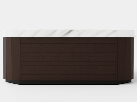 D1 Spas Diplomat 3D 모델