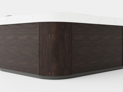 D1 Spas Triad 36 Modelo 3D