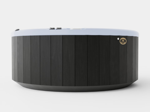 Nordic Spas Crown All-In-110V 3D Model