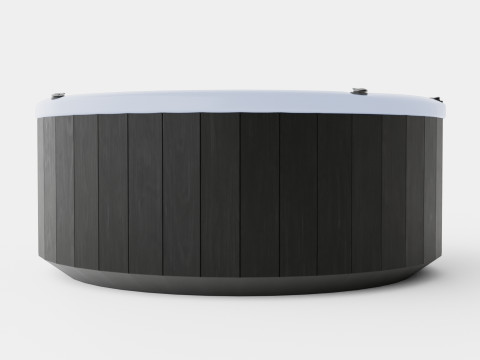 Nordic Spas Crown All-In-110V 3D Model