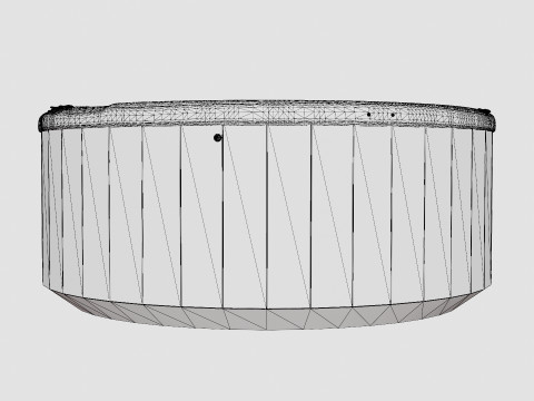 Nordic Spas Crown All-In-110V 3D Model