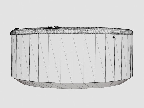 Nordic Spas Crown All-In-110V 3D Model