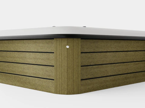 Nordic Spas Rendezvous LS 3D Model