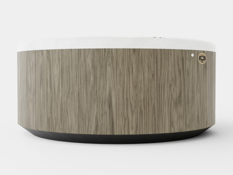 Nordic Spas Sport All-In-110V 3D Model