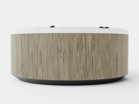 Nordic Spas Warrior XL All-In-110V 3D Model