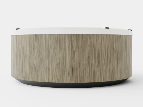 Nordic Spas Warrior XL All-In-110V 3D Model