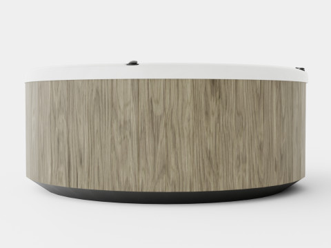 Nordic Spas Warrior XL All-In-110V 3D Model