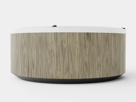 Nordic Spas Warrior XL All-In-110V 3D Model