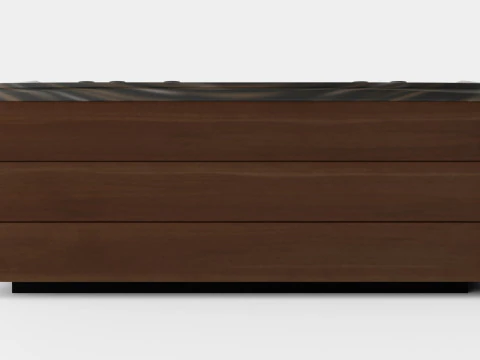 Sundance Spas Aspen 3D Model