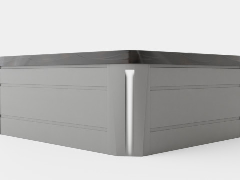 Sundance Spas Capri 3D मॉडल