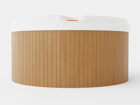 Sundance Spas Denali 3D Model