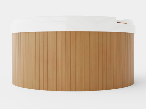Sundance Spas Denali 3D Model