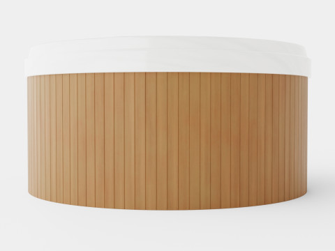 Sundance Spas Denali 3D Model