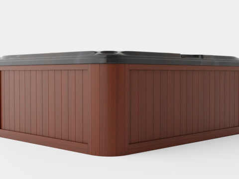 Sundance Spas Dover 3D Model