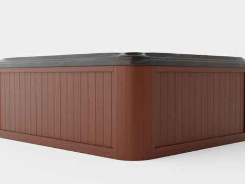 Sundance Spas Dover 3D Model