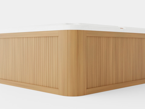 Sundance Spas Edison 3D 模型
