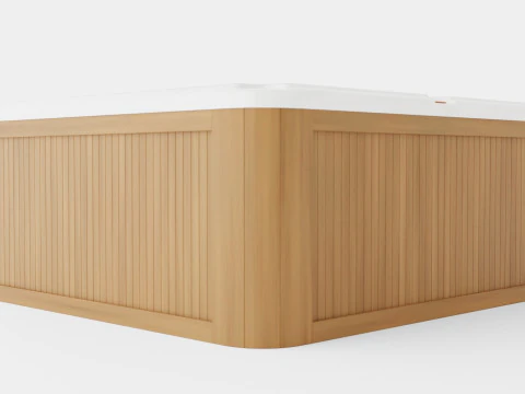 Sundance Spas Edison 3D Model