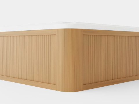 Sundance Spas Edison 3D 模型