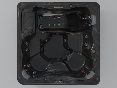 Sundance Spas Hamilton 3D Model