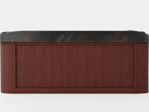 Sundance Spas Hamilton 3D Model