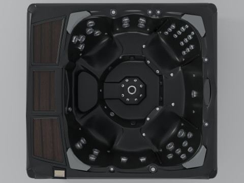 Sundance Spas Kingston Model 3D