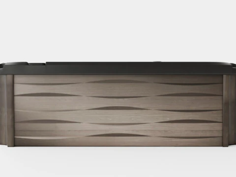 Sundance Spas Kingston 3D Model