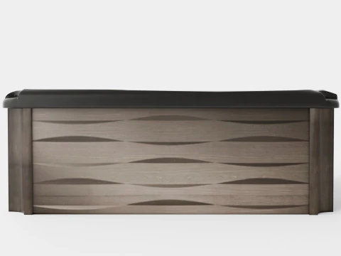 Sundance Spas Kingston 3D Model