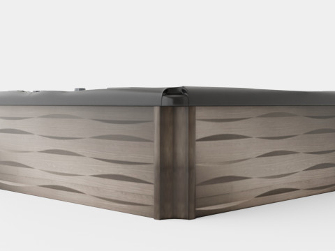 Sundance Spas Kingston Model 3D