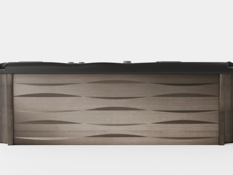 Sundance Spas Kingston Model 3D