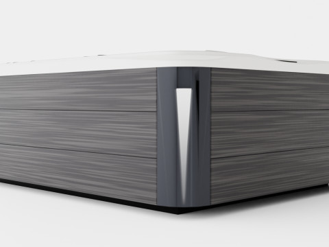 Sundance Spas Maxxus Modèle 3D