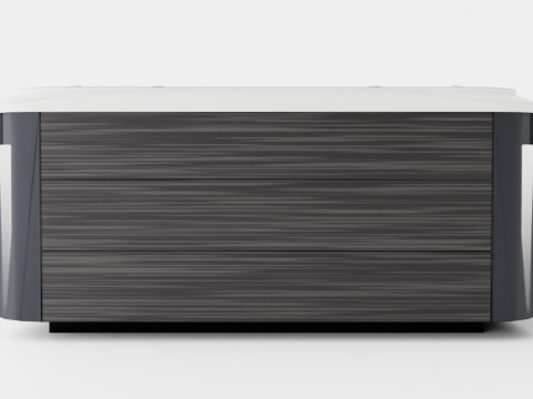 Sundance Spas Maxxus Modèle 3D