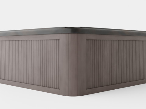 Sundance Spas McKinley 3D 모델