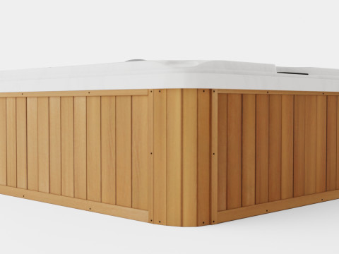 Sundance Spas Montclair 3D Model