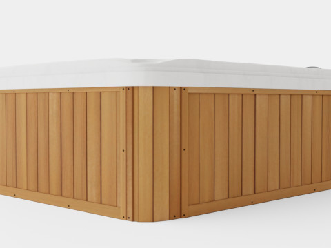 Sundance Spas Montclair 3D Model