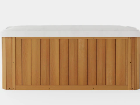 Sundance Spas Montclair 3D Model