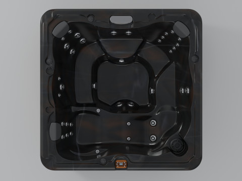 Sundance Spas Peyton 3D Model