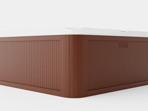 Sundance Spas Ramona 3D Model