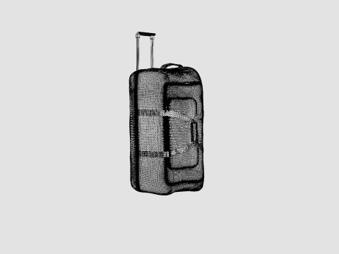 ROLLER BAG 3D Model