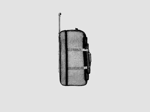 ROLLER BAG 3D Model