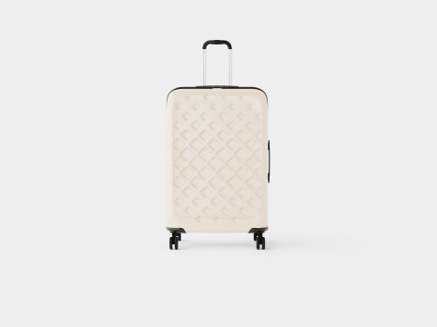 SUITCASE 64 CM Modello 3D
