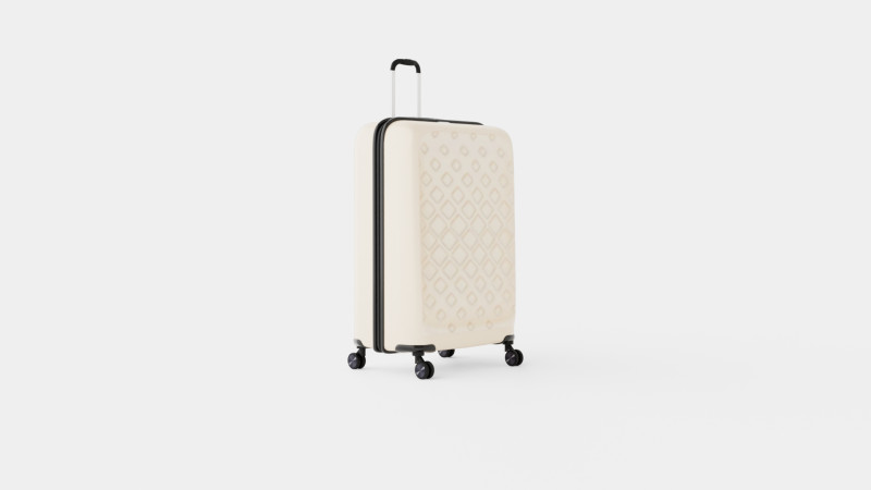 SUITCASE 74 CM 3D Model .c4d .max .obj .3ds .fbx .stl .blend 