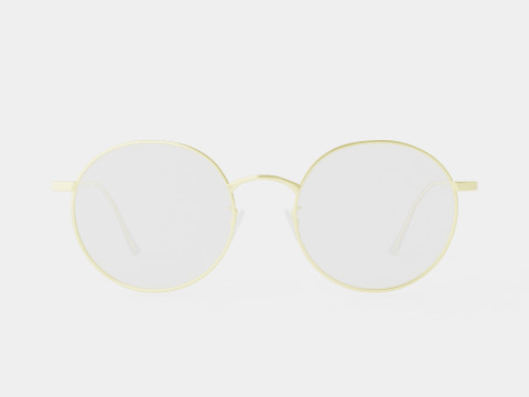 Vintage Gold Glasses Modello 3D