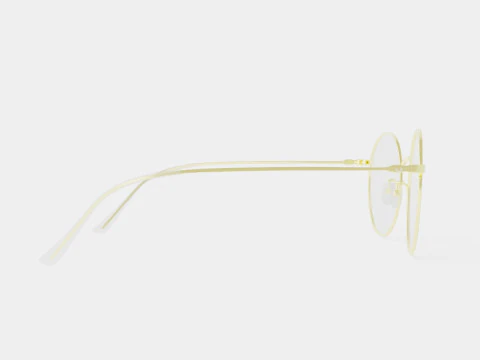 Vintage Gold Glasses 3D Model