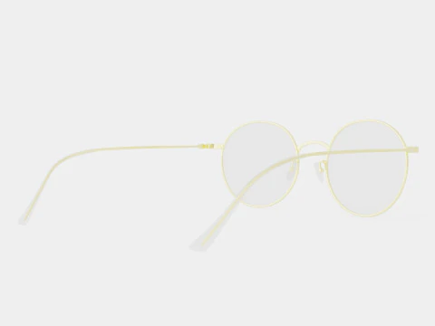 Vintage Gold Glasses 3D Model