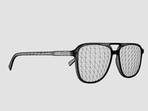 Fortis Midnight Glasses 3D Model